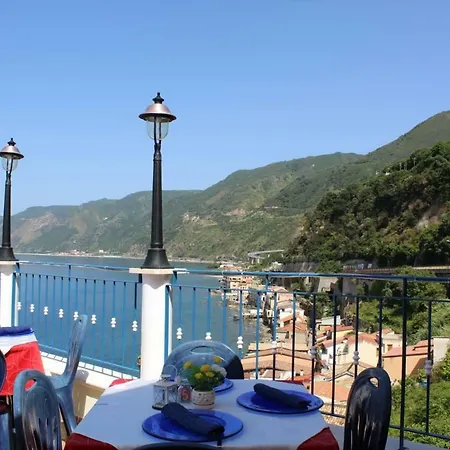 Panoramic * Scilla